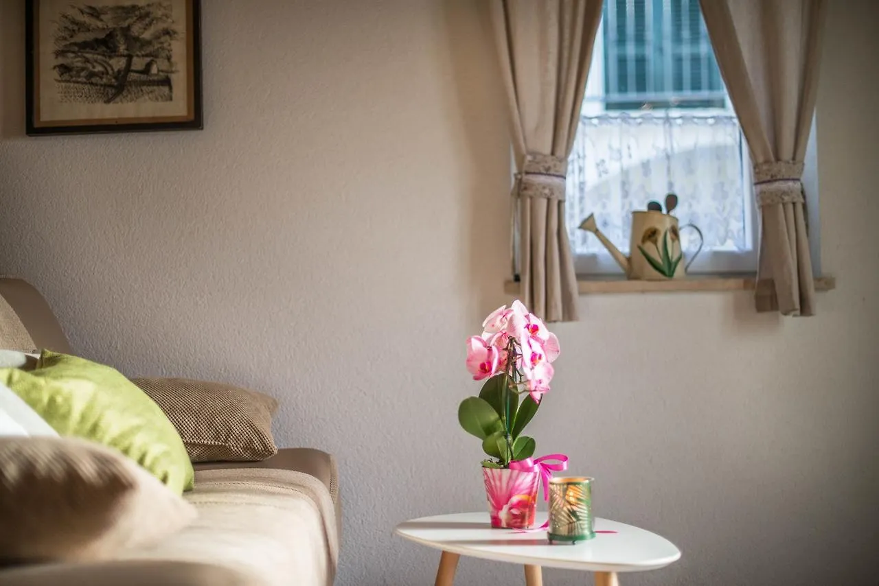 Holiday Home Ana Kanfanar Croatia
