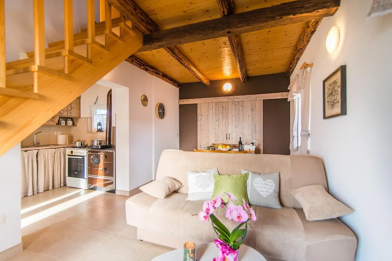 Holiday Home Ana Kanfanar